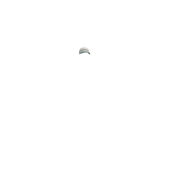 Pet LeMieux Ashley Steen Grijs Pet LeMieux Ashley Steen Grijs