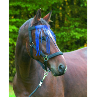 Frontale anti-vlieg Covalliero Zwart Frontale anti-vlieg Covalliero Zwart