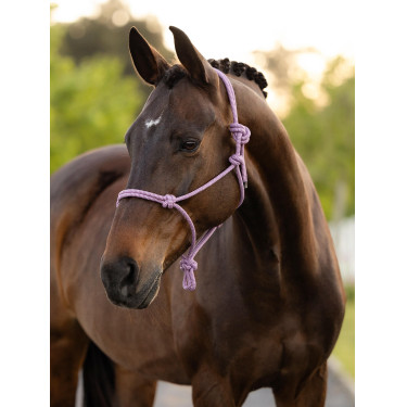 Licol LeMieux en corde Fondant Rose