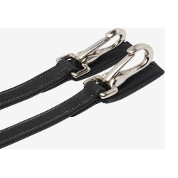 Montants LeMieux Clips huilés Kudos Noir / argent