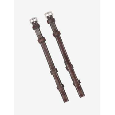 Montants LeMieux Kudos huilés Marron / argent