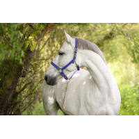 Licol Mustang Covalliero Bleu roi / noir