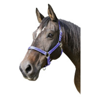 Licol Mustang Covalliero Noir / argent Licol Mustang Covalliero Noir / argent