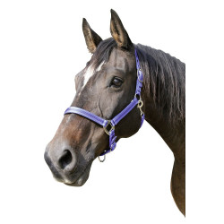 Licol Mustang Covalliero Bleu roi / noir Licol Mustang Covalliero Bleu roi / noir