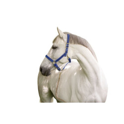 Licol Mustang Covalliero Bleu roi / noir Licol Mustang Covalliero Bleu roi / noir
