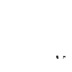 LeMieux Arika kogelbeschermers Zwart