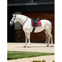 Tapis de dressage Weatherbeeta Softshell Pro 3D Air-Tec Bordeaux