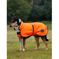 Couverture imperméable chien Weatherbeeta ComFiTec réflechissant 300D Deluxe Orange Couverture imperméable chien Weatherbeeta ComFiTec réflechissant 300D Deluxe Orange