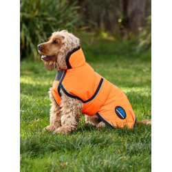 Couverture imperméable chien Weatherbeeta ComFiTec réflechissant 300D Deluxe Orange