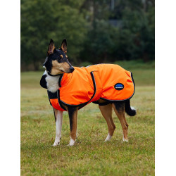 Couverture imperméable chien Weatherbeeta ComFiTec réflechissant 300D Deluxe Orange