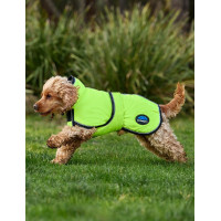 Couverture imperméable chien Weatherbeeta ComFiTec réflechissant 300D Deluxe Orange Couverture imperméable chien Weatherbeeta ComFiTec réflechissant 300D Deluxe Orange