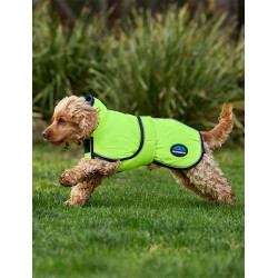 Couverture imperméable chien Weatherbeeta ComFiTec réflechissant 300D Deluxe