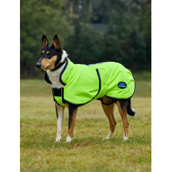 Couverture imperméable chien Weatherbeeta ComFiTec réflechissant 300D Deluxe