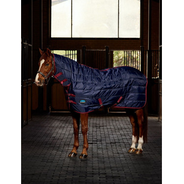 Couverture de box Weatherbeeta ComFiTec 210D Channel Quilt 220g cou combo