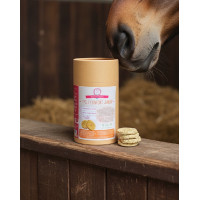 Complément Cycle Confort Jument Happy Crackers Complément Cycle Confort Jument Happy Crackers