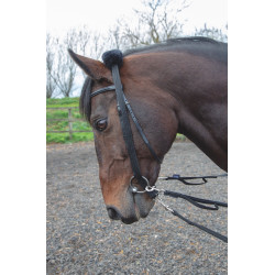 Shires longe-adapter Zwart