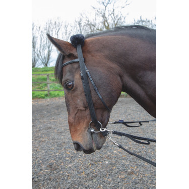 Shires longe-adapter Zwart