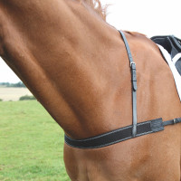 Bricole élastique Shires Velociti Gara Noir