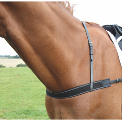 Elastische borsttuiging Shires Velociti Gara Zwart