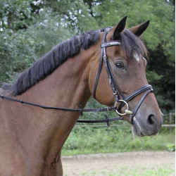 Rênes Covalliero finition cuir Rênes Covalliero finition cuir
