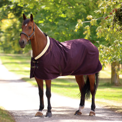 Chemise d'écurie Deluxe Shires Chemise d'écurie Deluxe Shires