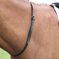 Shires Velociti Gara leren halsband Zwart