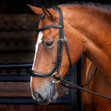 Bridon à caveçon ergonomique Shires Velociti Rapida