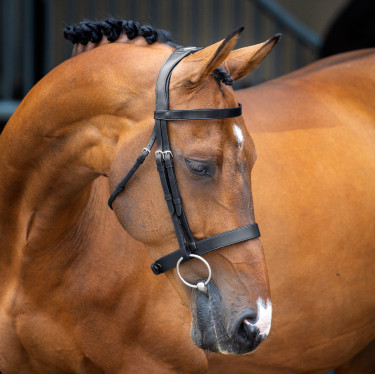 Bridon à caveçon Hunter Shires Velociti Lusso