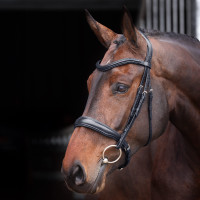 Bridon à caveçon matelassé Elite Shires Velociti Lusso Bridon à caveçon matelassé Elite Shires Velociti Lusso