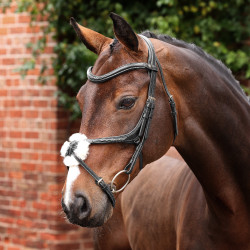 Bridon à muserolle croisée Opus 180M Shires Velociti Lusso