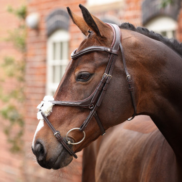 Bridon à muserolle croisée Opus 180M Shires Velociti Lusso Havane Marron Bridon à muserolle croisée Opus 180M Shires Velociti Lusso Havane Marron
