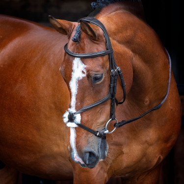 Bridon à muserolle croisée Shires Velociti Rapida