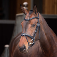 Bridon à muserolle française Elite Shires Velociti Lusso Bridon à muserolle française Elite Shires Velociti Lusso