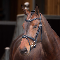 Bridon à muserolle française Elite Shires Velociti Lusso