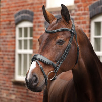 Bridon de dressage à muserolle française Opus 180M Shires Velociti Lusso Bridon de dressage à muserolle française Opus 180M Shires Velociti Lusso