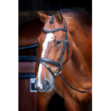 Bridon de dressage avec muserolle française Shires Velociti Rapida