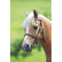 Bridon de présentation clincher Shires Velociti Gara Noir