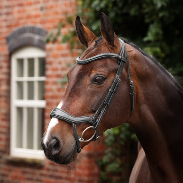 Bridon ergonomique à muserolle française Opus 180M Shires Velociti Lusso Bridon ergonomique à muserolle française Opus 180M Shires Velociti Lusso