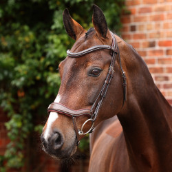 Ergonomisch hoofdstel met Franse neusriem Opus 180M Shires Velociti Lusso Havana Bruin Ergonomisch hoofdstel met Franse neusriem Opus 180M Shires Velociti Lusso Havana Bruin