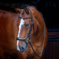 Bridon ergonomique à muserolle française Shires Velociti Rapida Bridon ergonomique à muserolle française Shires Velociti Rapida