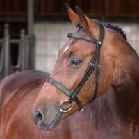 Bridon Hunter Elite Shires Velociti Lusso Noir