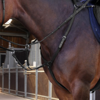 Collier de chasse Elite Shires Velociti Lusso Noir