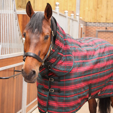 Couverture d'écurie intégrale Plus 200 Shires Tempest