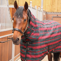 Shires Tempest Staldeken Full Plus 200 Rood tartan Shires Tempest Staldeken Full Plus 200 Rood tartan