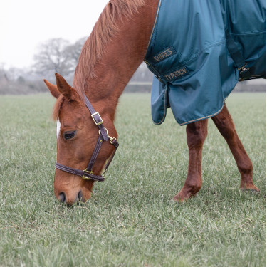 Couverture d'extérieur 200 Shires Typhoon Couverture d'extérieur 200 Shires Typhoon