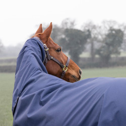 Couverture d'extérieur intégrale Lite Shires Typhoon
