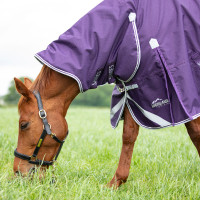 Couverture d'extérieur intégrale Original 100 Shires Highlander Prune Violet Couverture d'extérieur intégrale Original 100 Shires Highlander Prune Violet