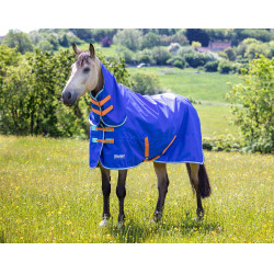 Couverture d'extérieur intégrale Original 50 Shires Tempest
