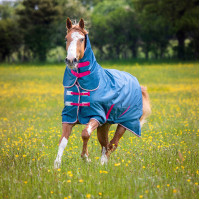 Shires Tempest Original regendeken met hals, lichtgewicht buitengebruik Smaragdgroen Blauw Shires Tempest Original regendeken met hals, lichtgewicht buitengebruik Smaragdgroen Blauw