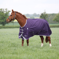 Couverture d'extérieur Original 100 Shires Highlander Prune Violet